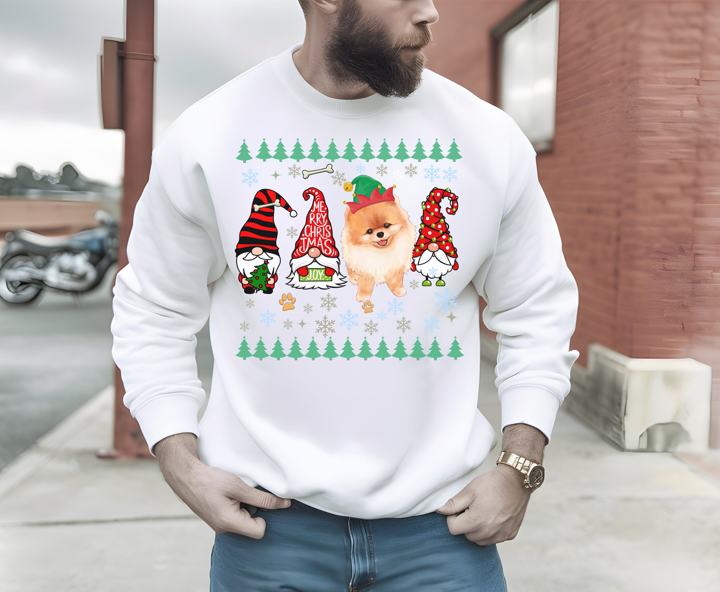 Festive Pomeranian Dog Christmas T Shirt Cute Holiday Dog Lover Tee Sweatshirt Hoodie Xmas Gift for Dog Owner Pomeranian Dog Mom Owner Top