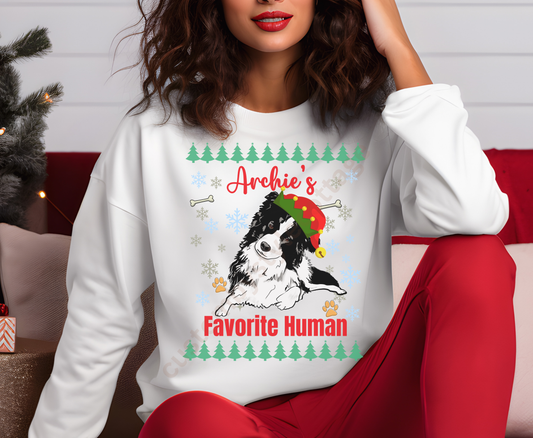 Custom Festive Border Collie Christmas Shirt - Holiday Dog Lover Gift for Mom, Dad, Dog Owner
