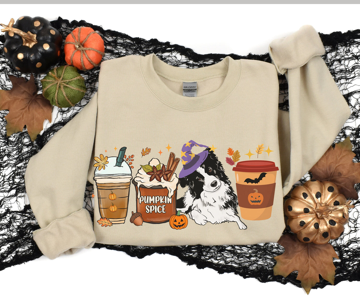 Border Collie Fall Pumpkin Spice shirt