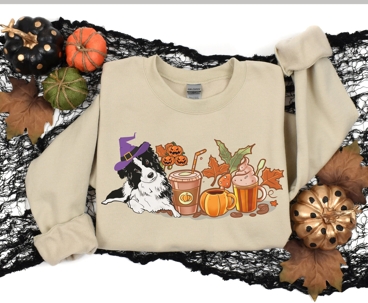 Border Collie Fall Pumpkin Spice shirt